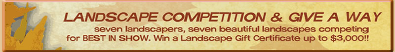 landscape competition